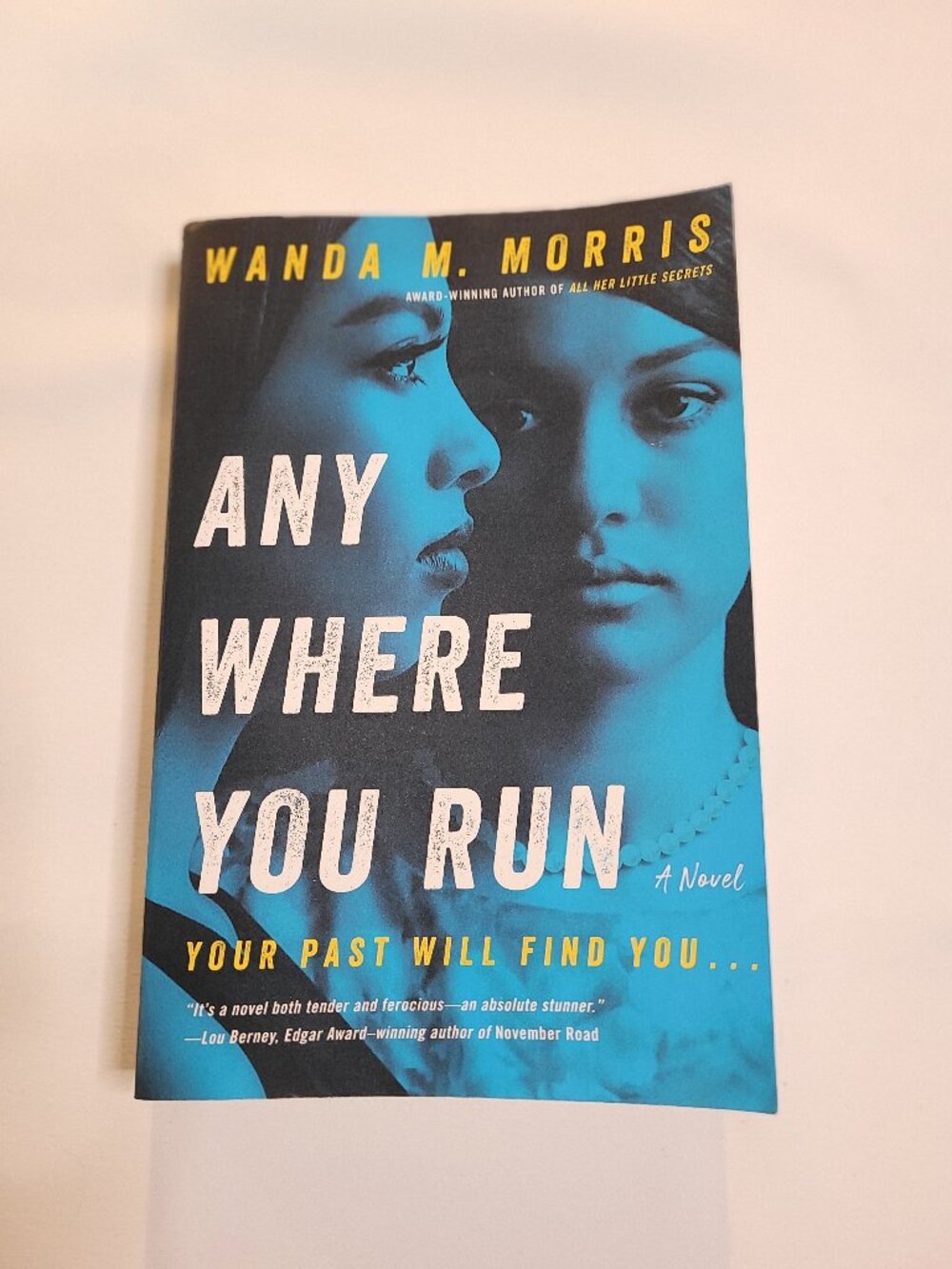 Anywhere You Run by Wanda M. Morris Paperback Mystery Thriller Novel